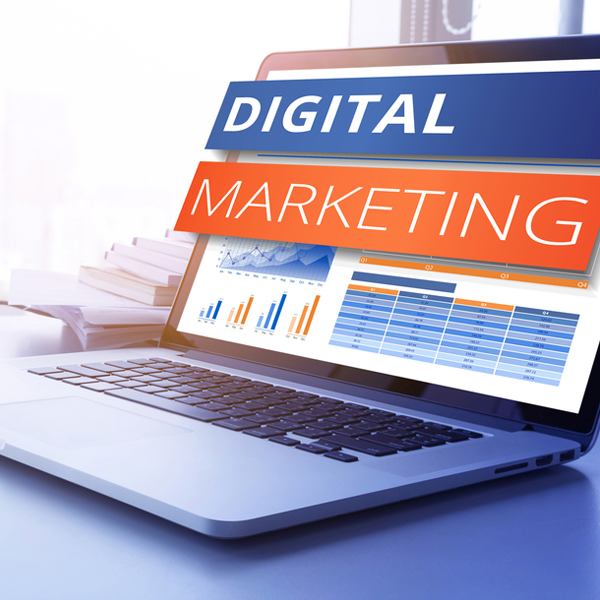 affordable web designing for small business